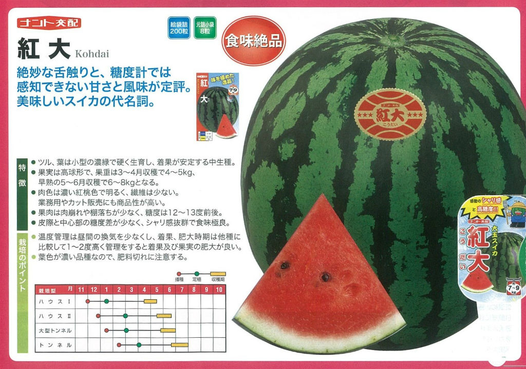 今年のスイカ苗ラインナップ（大玉） : キントラ種苗 オフィシャルブログ