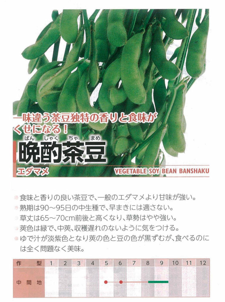 中～晩生エダマメの播きどき : キントラ種苗 オフィシャルブログ