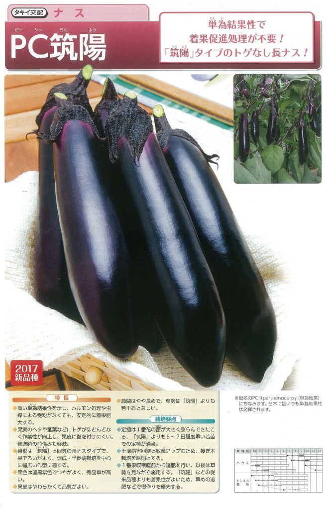 品種紹介 果菜類 キントラ種苗 オフィシャルブログ 品種紹介 果菜類 キントラ種苗 オフィシャルブログ