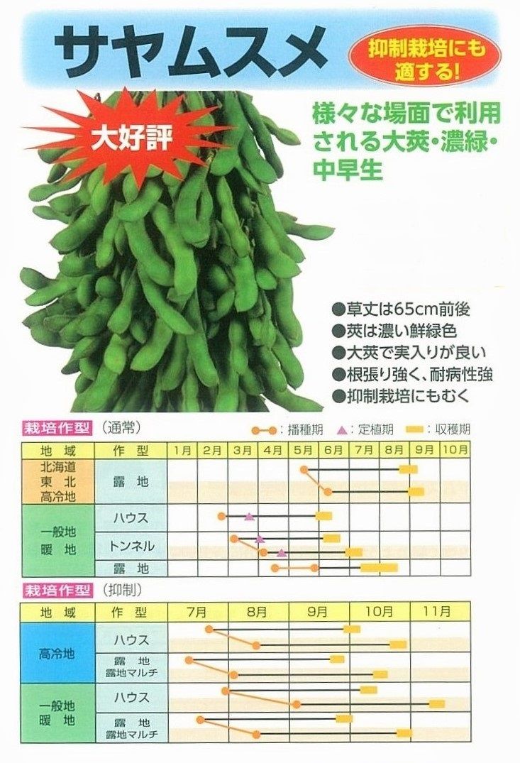 エダマメもろもろ キントラ種苗 オフィシャルブログ