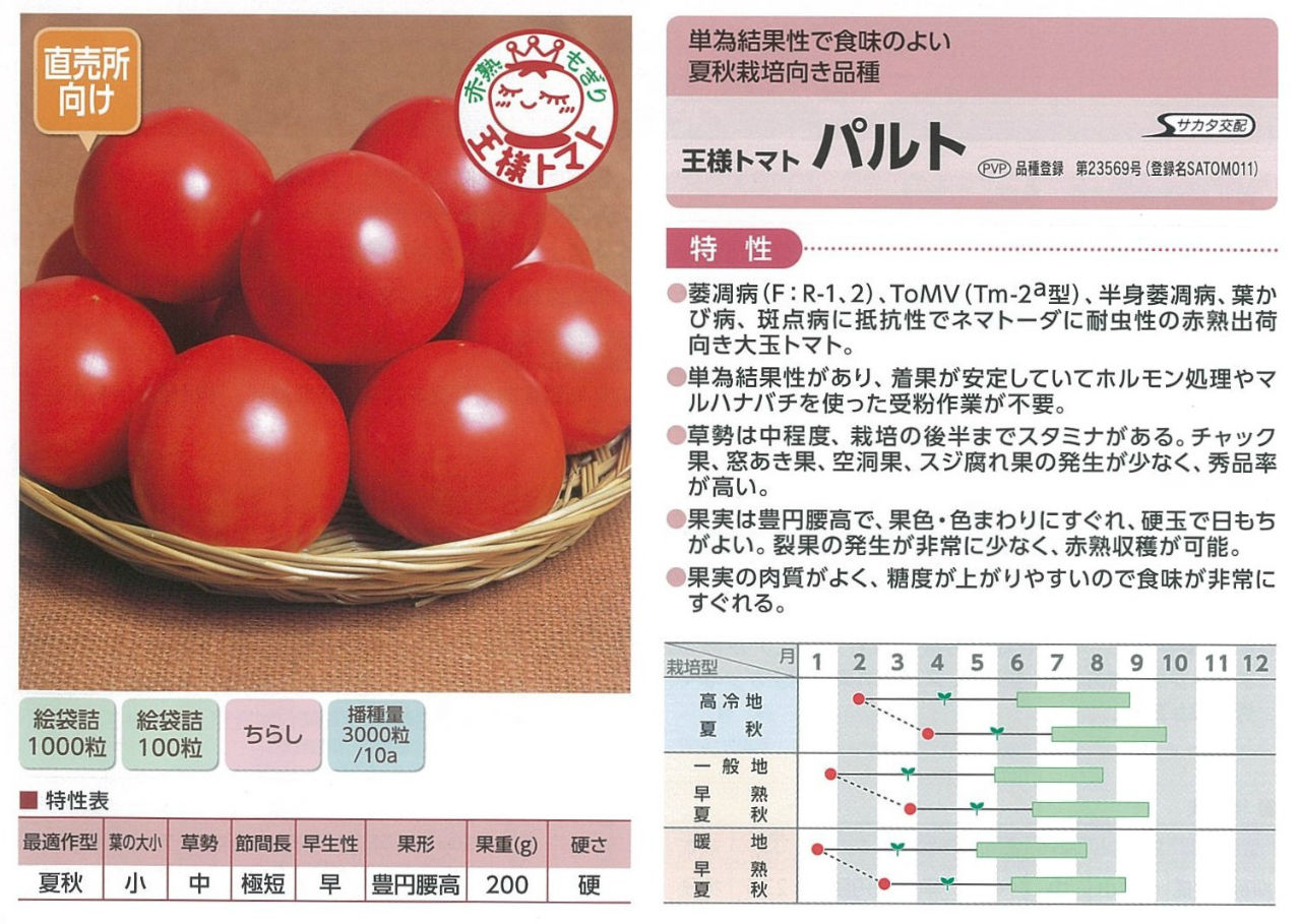複合耐病性 vs 単為結果性】作りやすい大玉トマト苗 : キントラ種苗 