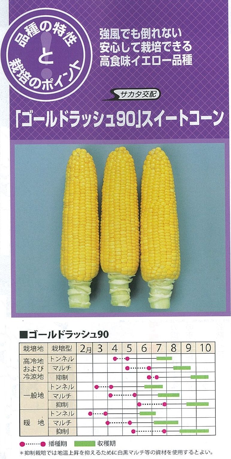 スイートコーンセレクション 2016 : キントラ種苗 オフィシャル