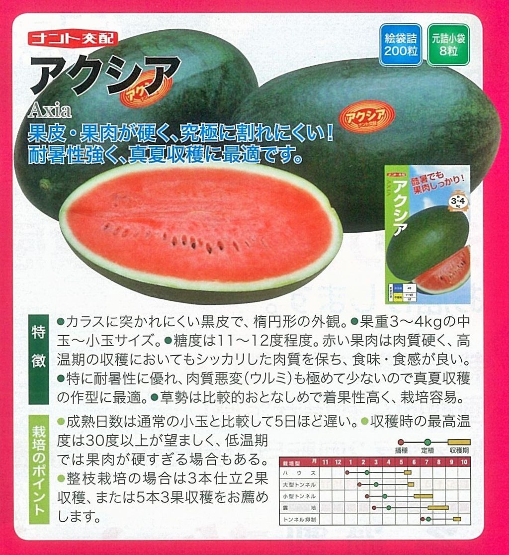 今年のスイカ苗ラインナップ 中玉 小玉 キントラ種苗 オフィシャルブログ 今年のスイカ苗ラインナップ 中玉 小玉 キントラ種苗 オフィシャルブログ