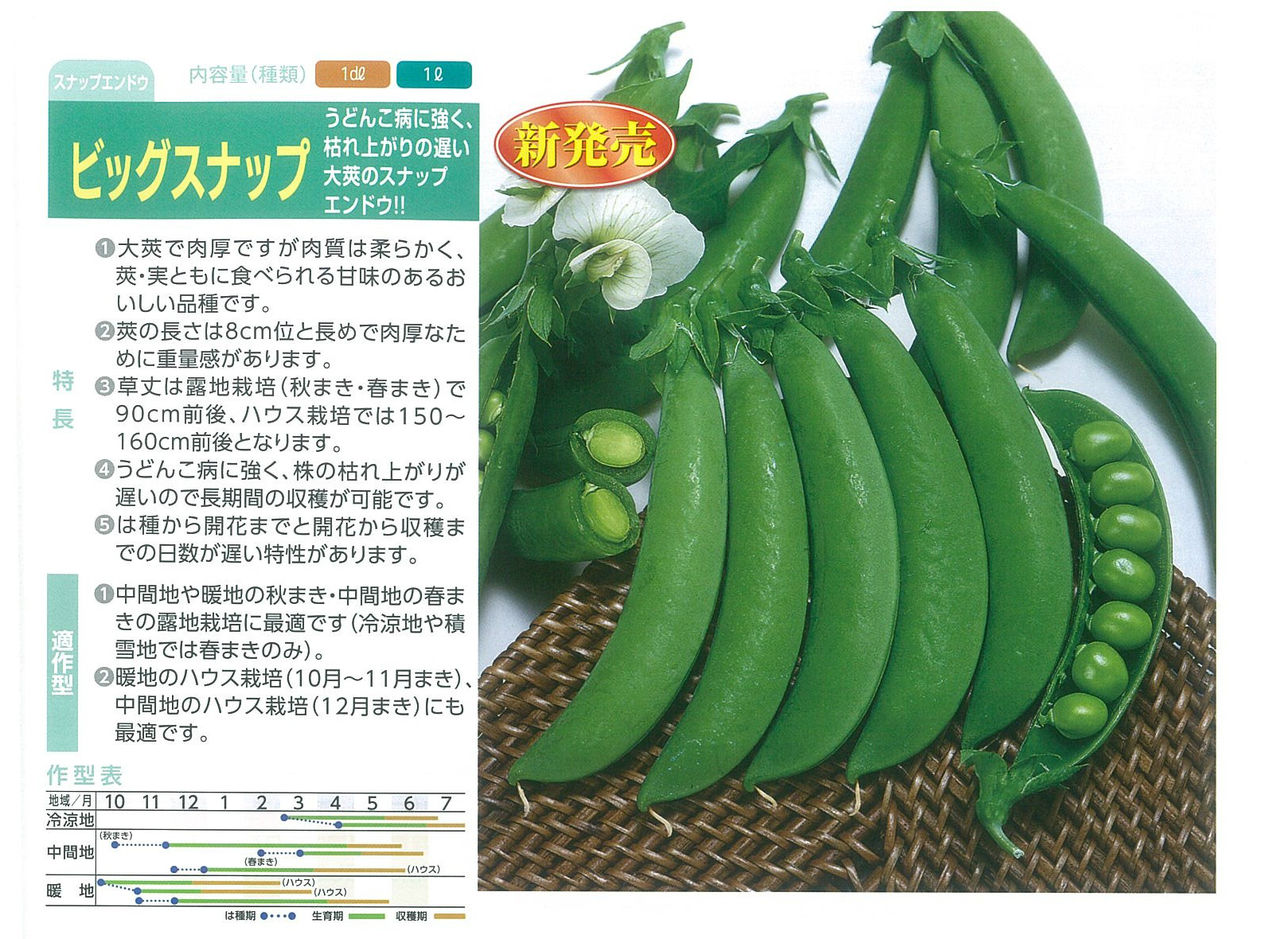 エンドウマメの播き時です キントラ種苗 オフィシャルブログ エンドウマメの播き時です キントラ種苗 オフィシャルブログ