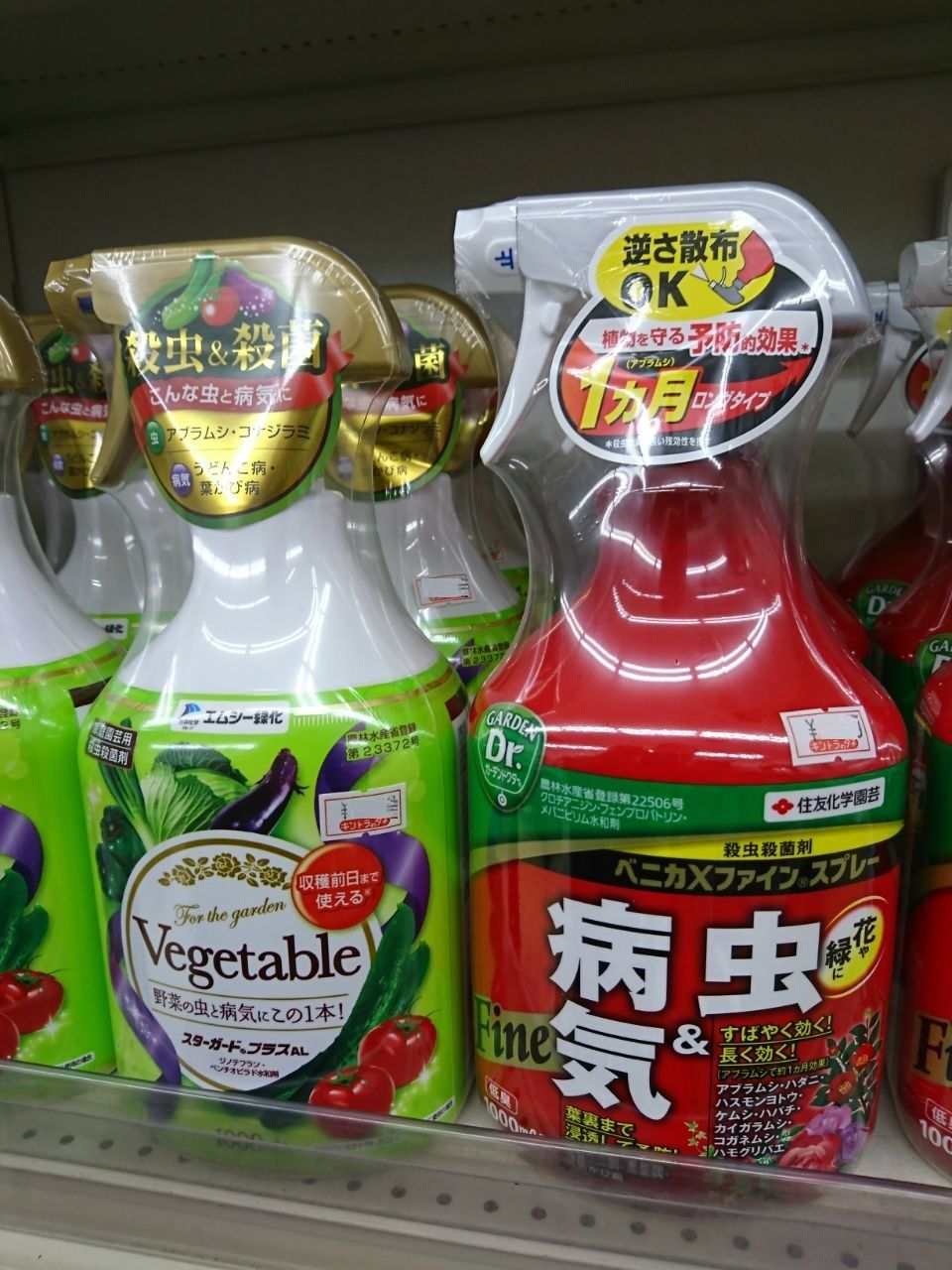 野菜苗の病害虫対策に キントラ種苗 オフィシャルブログ 野菜苗の病害虫対策に キントラ種苗 オフィシャルブログ