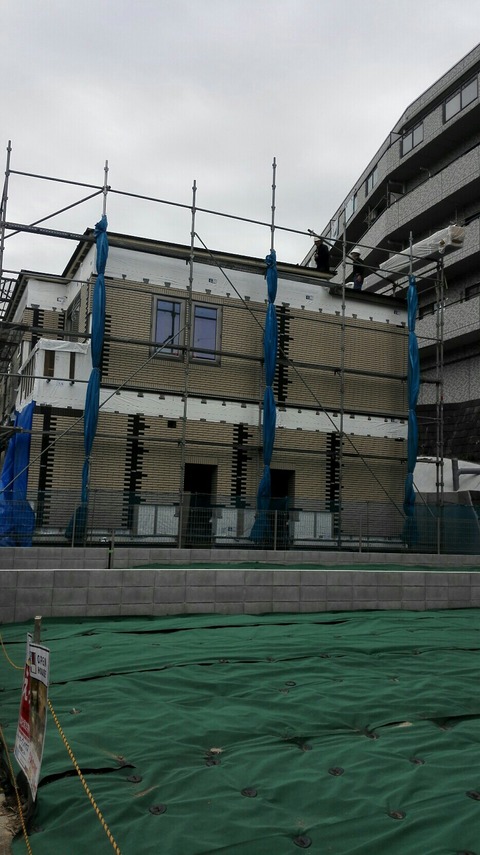 IMG_20181116_134850-934x1663