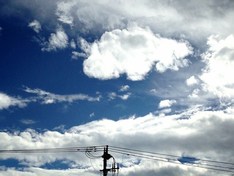 トトロの猫バス