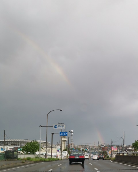 19-05-04-19-02-24-614_deco