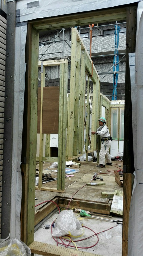 IMG_20181107_113441-1752x3120