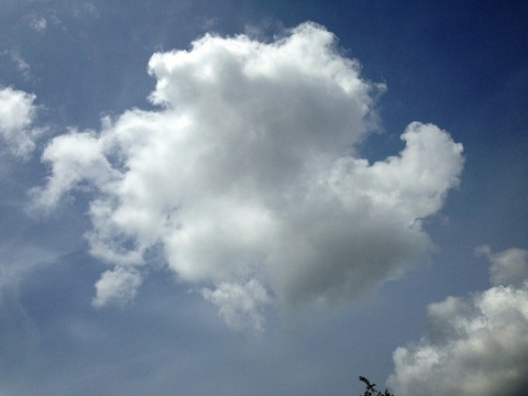 雲9 疾走する馬