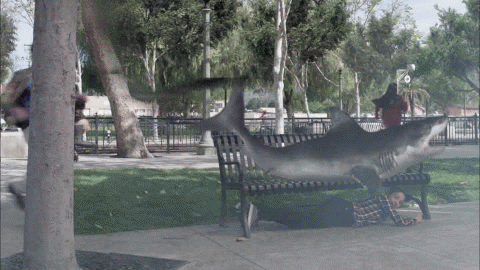 ワイ 名作サメ映画ジョーズを見終わる まとめ遅報 ワイ 名作サメ映画ジョーズを見終わる まとめ遅報