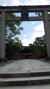 009d040e.jpg