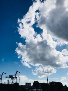 6ACF0D80-8BA4-4F38-87C2-32B175171273