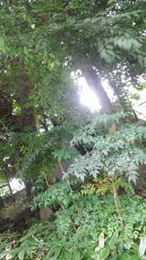104e8520.jpg
