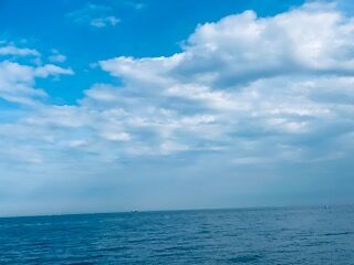 12295F2A-E312-4246-8E5B-5E9B1EDD25CC