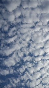 26a4055c.jpg