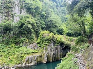 IMG_6991