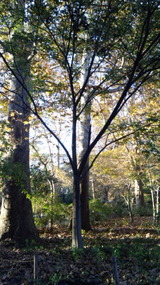 2e937e07.jpg