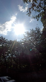 2f05fb28.jpg