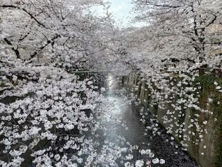 86C52902-10ED-47CC-AB96-E3DD7DA41605