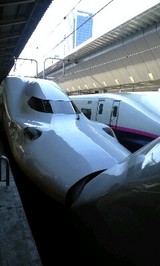 30307846.jpg