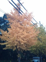 3f4e717d.jpg