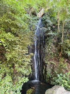 IMG_8675