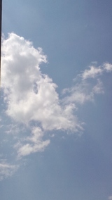 4368506c.jpg