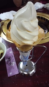 4451d435.jpg