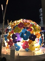 45e5d423.jpg