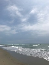 46b8259f.jpg