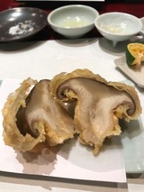 4c66aa02.jpg