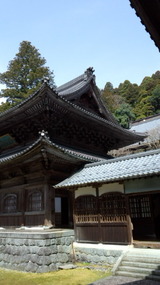 5359219d.jpg