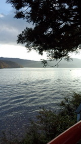 57352d05.jpg