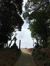 5b388014.jpg