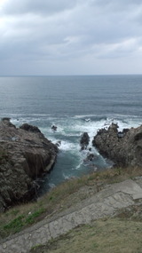 5d71952a.jpg