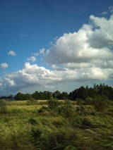 5f245443.jpg