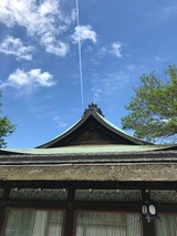 5f24b109.jpg