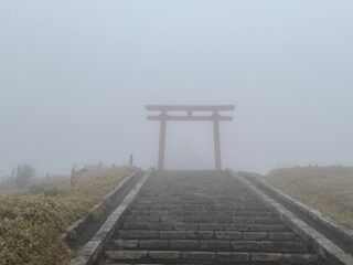 IMG_5620