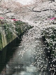 340D3A00-4987-4098-AB23-E16EC89CA2DA