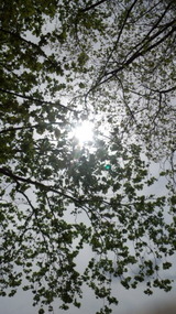 6e7f3dc7.jpg
