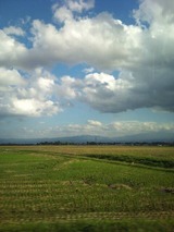 6f515a71.jpg