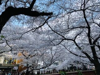 18B2334E-BA9B-41CF-888E-561BF811539F