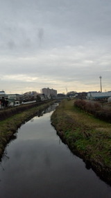 7f6255e8.jpg