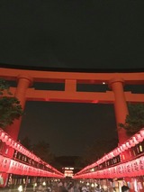 8061c870.jpg