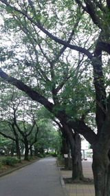84115f67.jpg