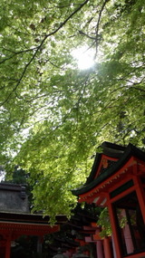 86a51842.jpg