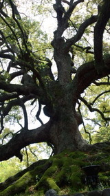 89c0b114.jpg