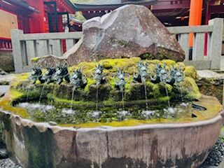 IMG_5596
