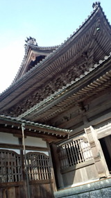 96842d9a.jpg